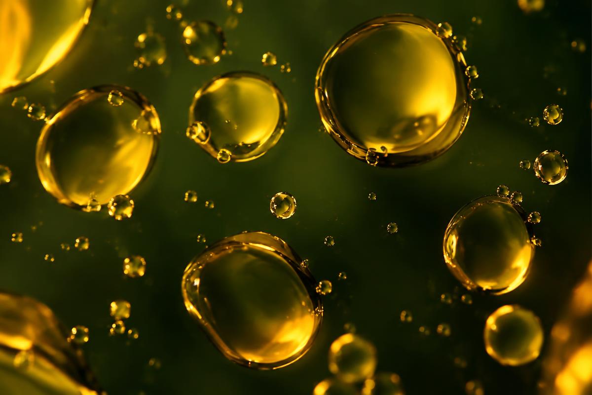 Abstract botanical image representing CBD oils product development